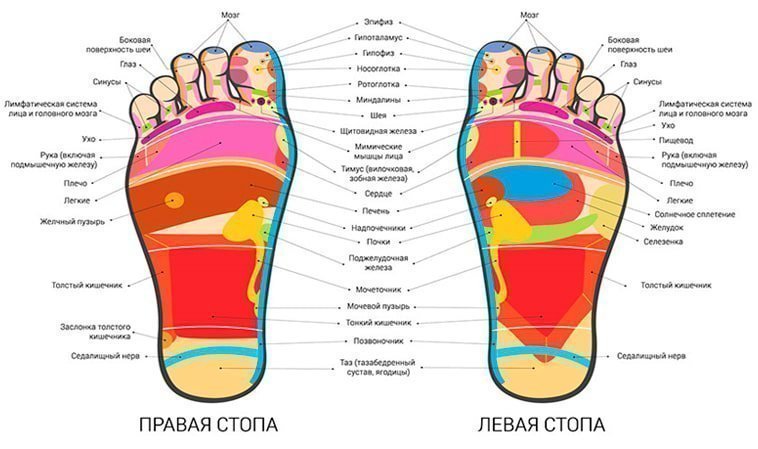 МАССАЖ ШИАЦУ