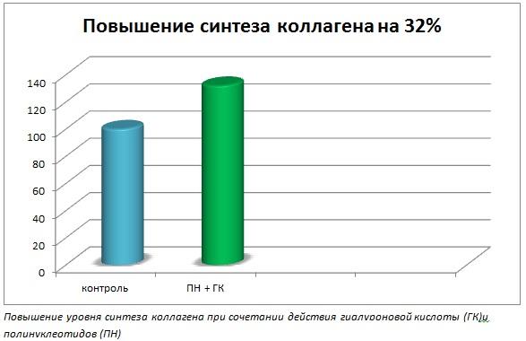 Повышение синтеза коллагена на 32% Повышение синтеза коллагена на 32%