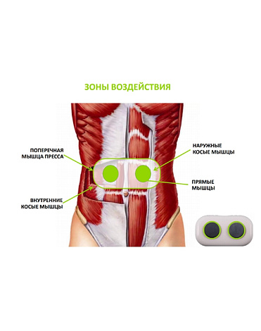 Пояс-миостимулятор для тела Abdominal M11 PRO, Gezatone 5