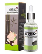 Сыворотка с экстрактом галактамисиса для проблемной кожи Galactomyces 100% Elizavecca, 50 мл Сыворотка с экстрактом галактамисиса для проблемной кожи Galactomyces 100% Elizavecca, 50 мл