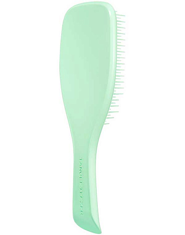 Расческа Tangle Teezer The Wet Detangler Mint Karma 1