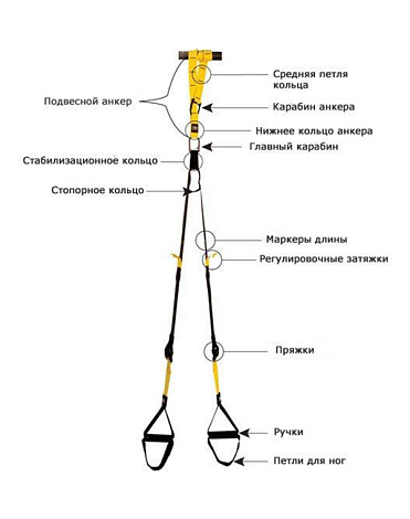 Тренировочные функциональные петли TRX Pro Pack, Housefit 4