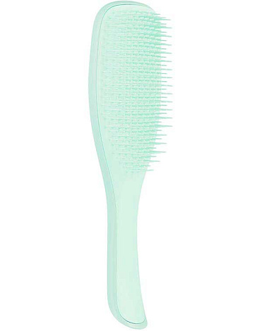 Расческа Tangle Teezer The Wet Detangler Fine & Fragile Sea Spray Green 1